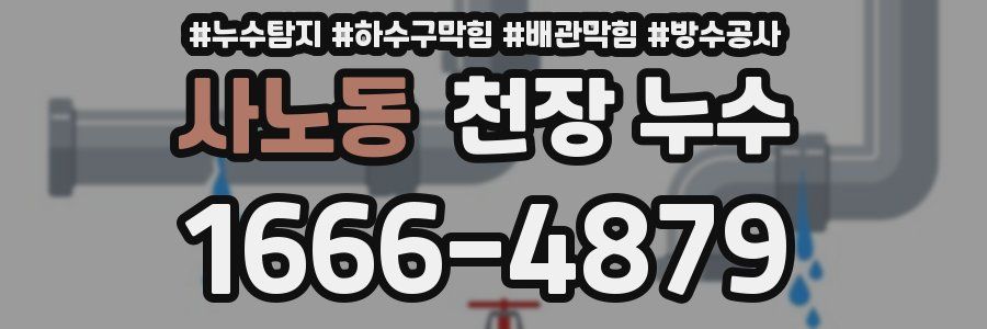 사노동 천장 누수