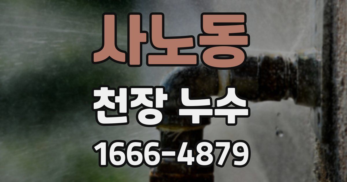 사노동 천장 누수
