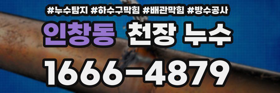 인창동 천장 누수