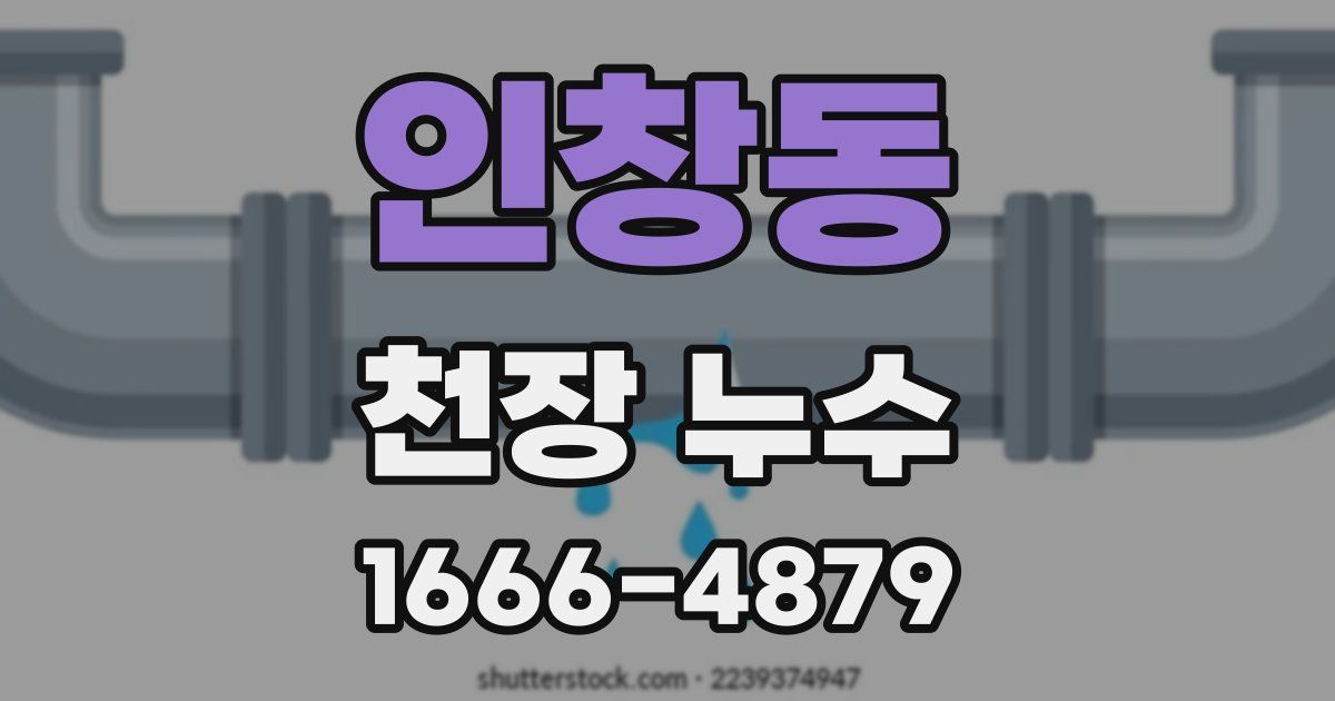 인창동 천장 누수