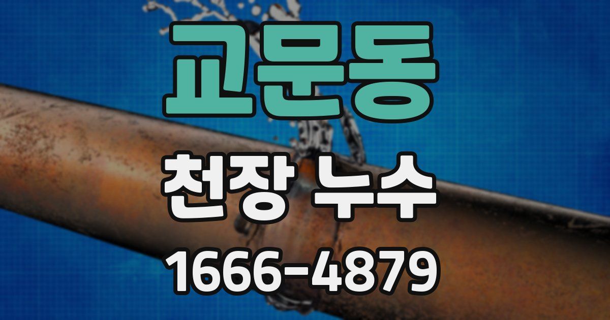 교문동 천장 누수
