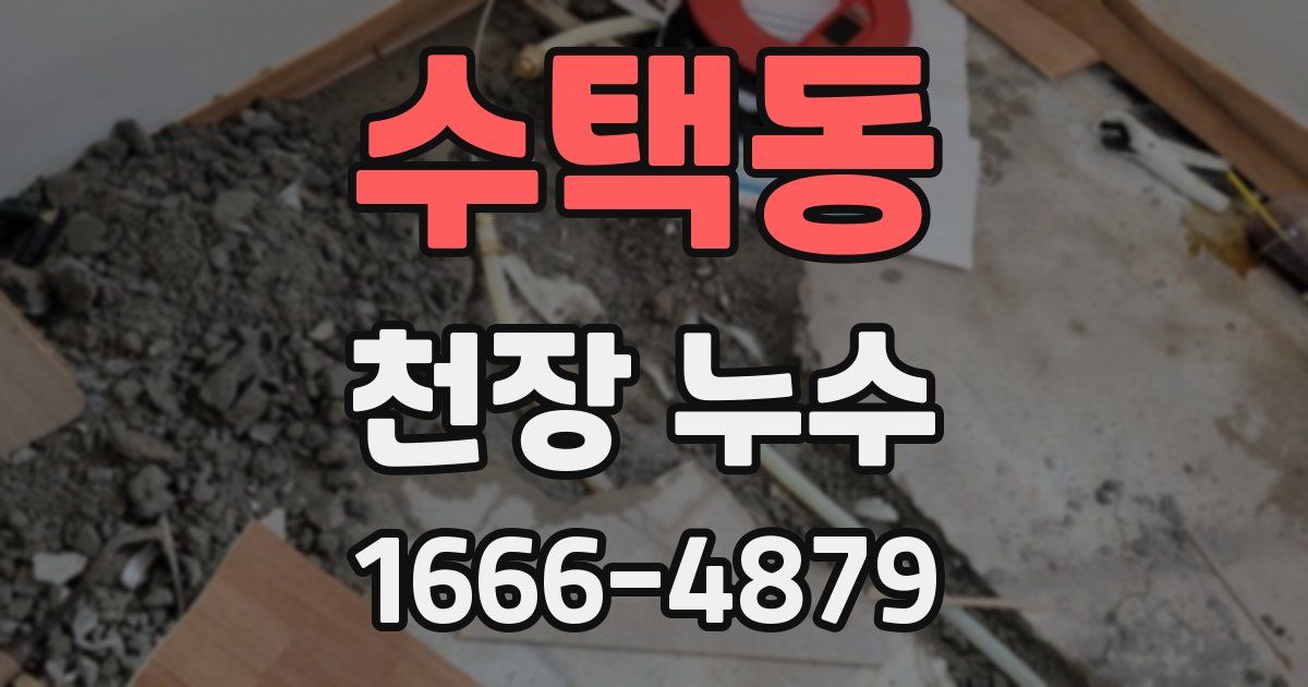 수택동 천장 누수