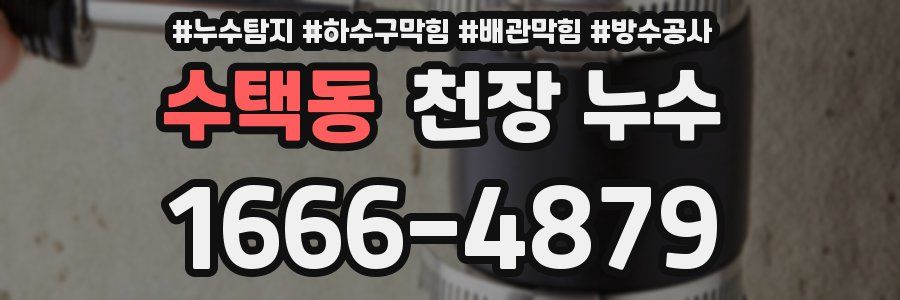 수택동 천장 누수