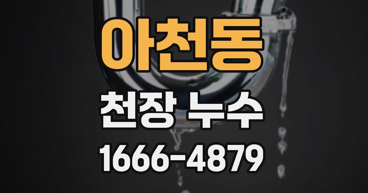 아천동 천장 누수