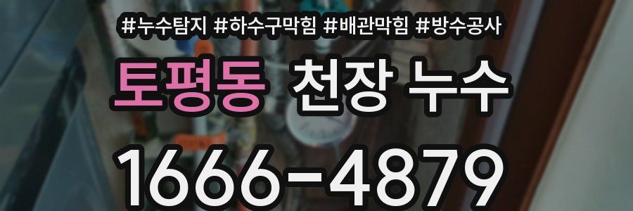 토평동 천장 누수