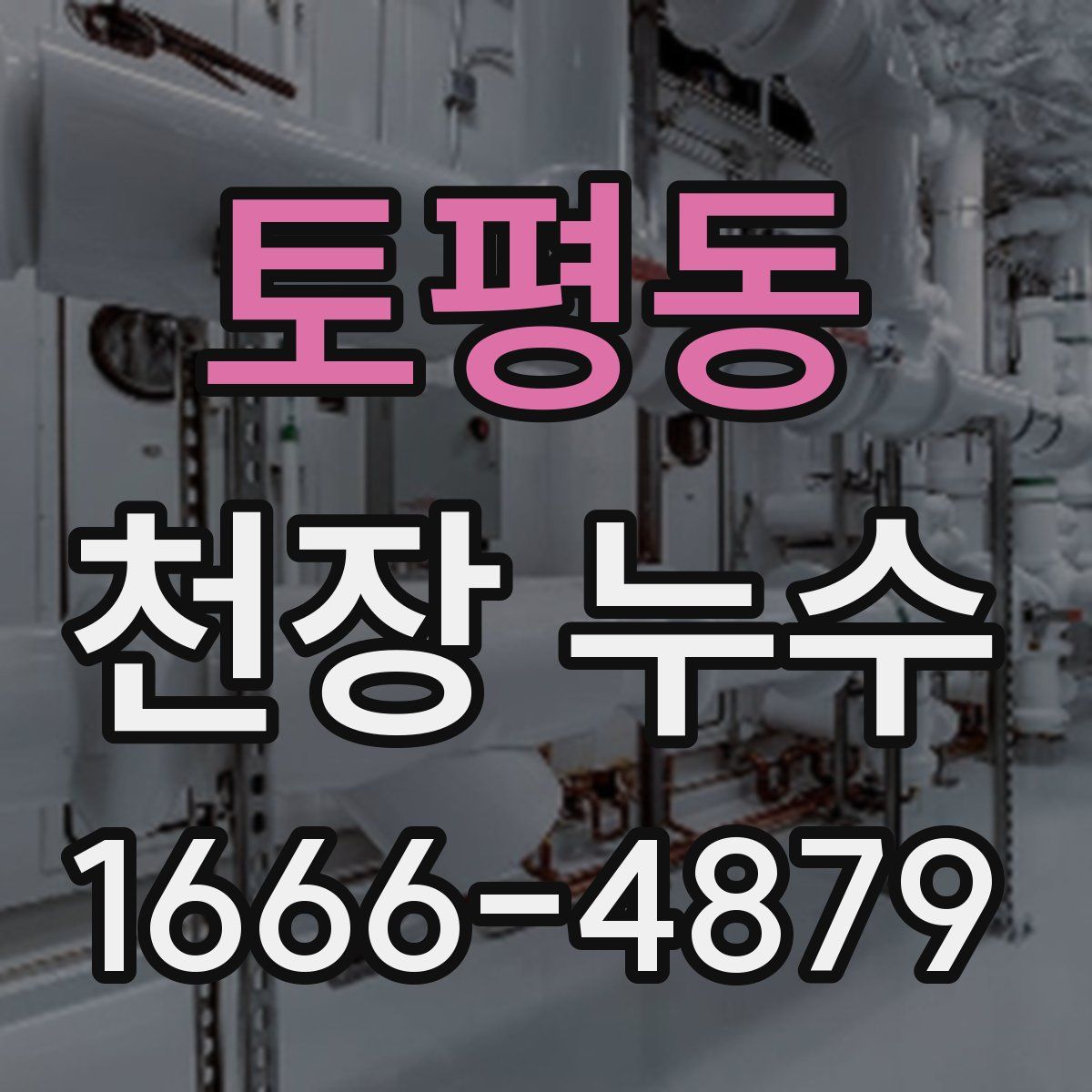 토평동 천장 누수