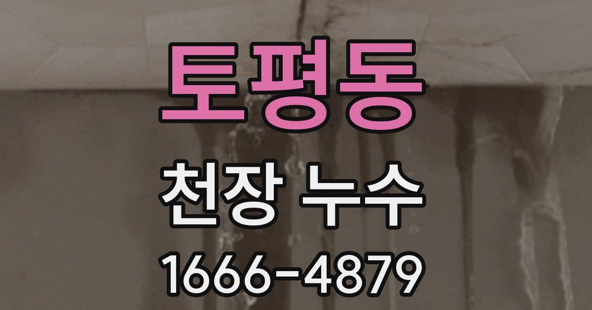 토평동 천장 누수
