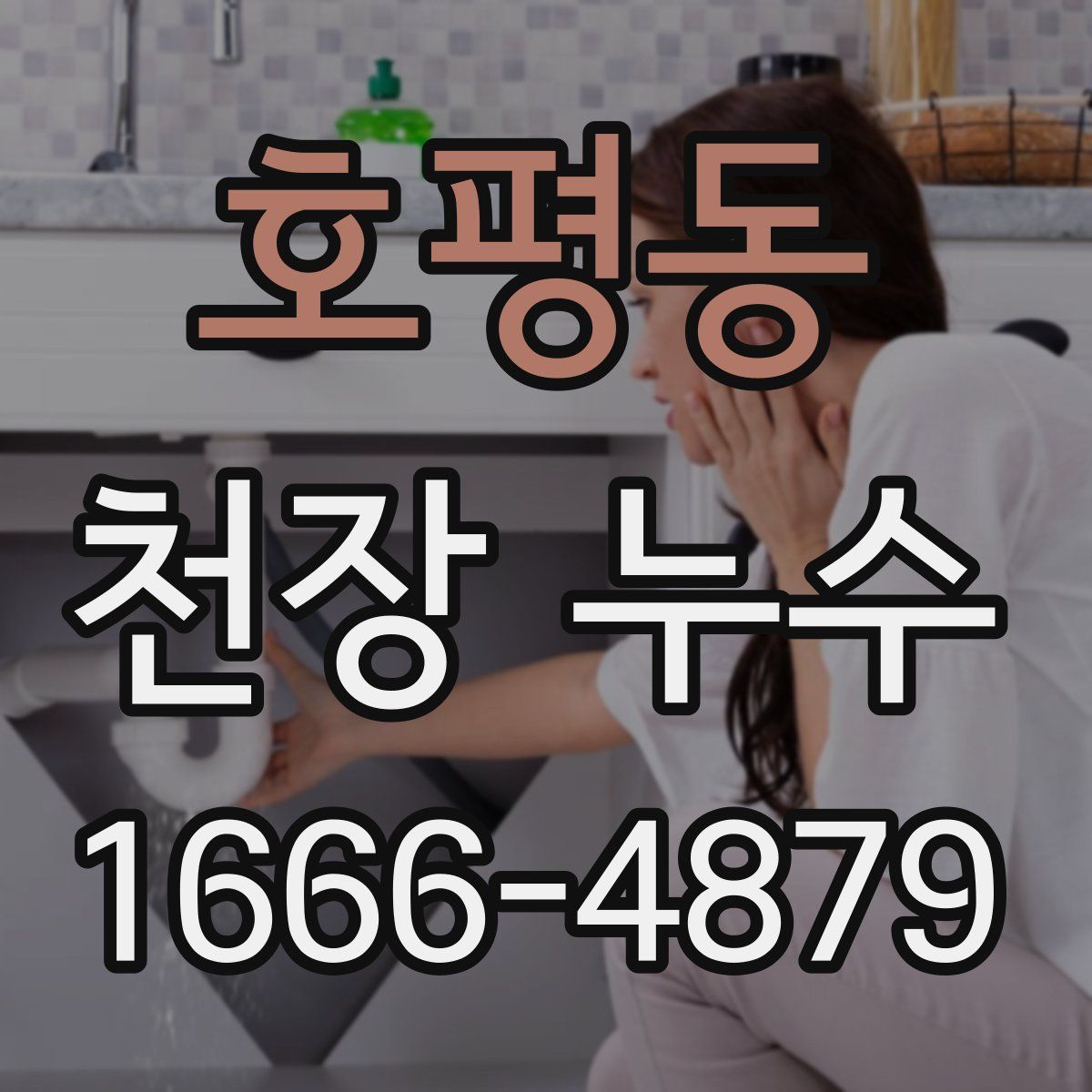 호평동 천장 누수