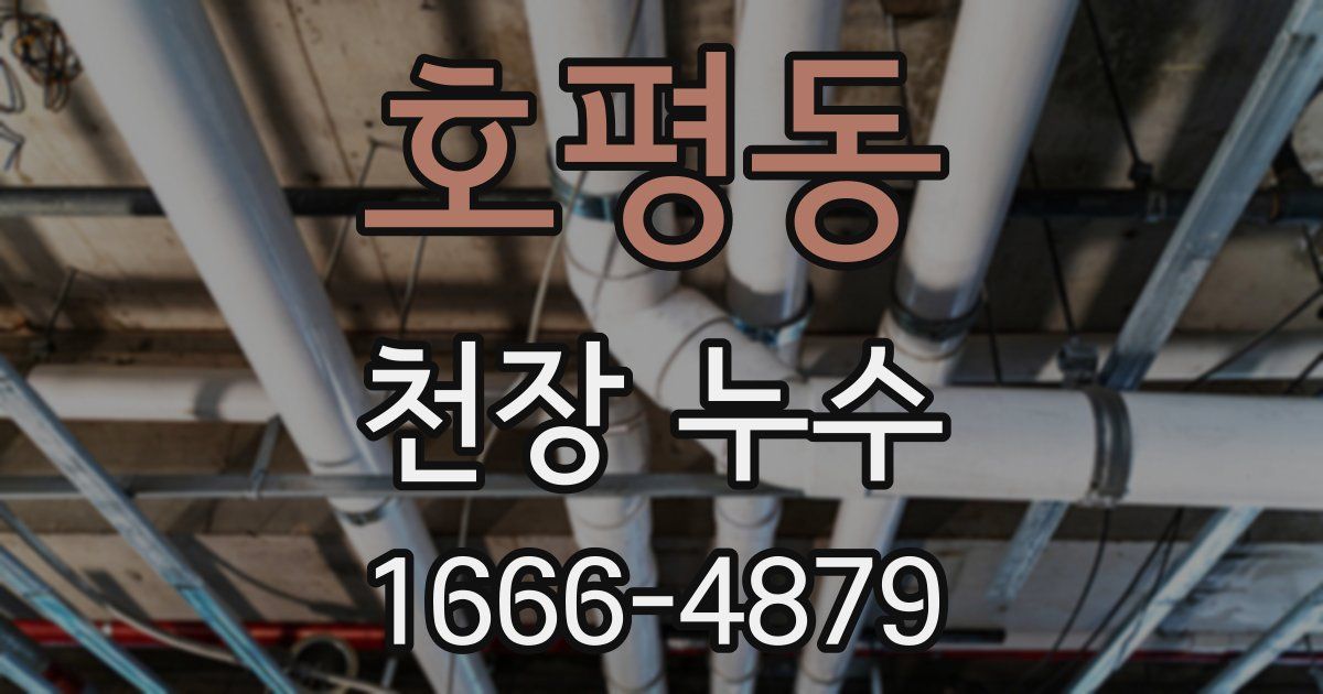 호평동 천장 누수