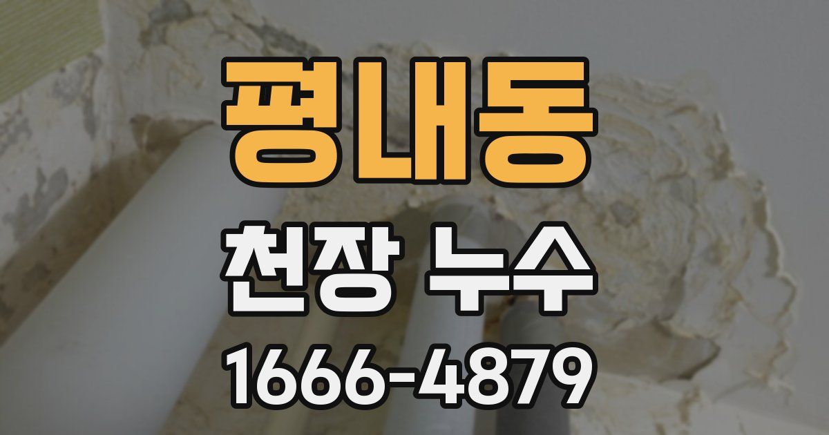 평내동 천장 누수