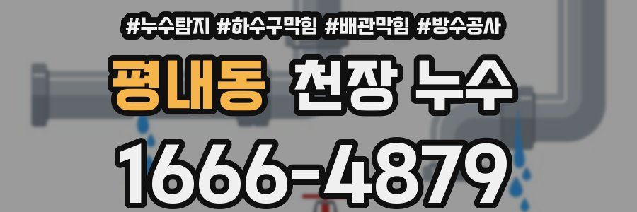 평내동 천장 누수