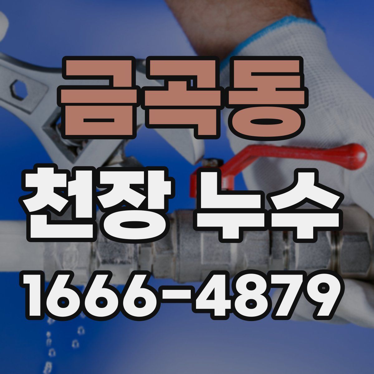 금곡동 천장 누수