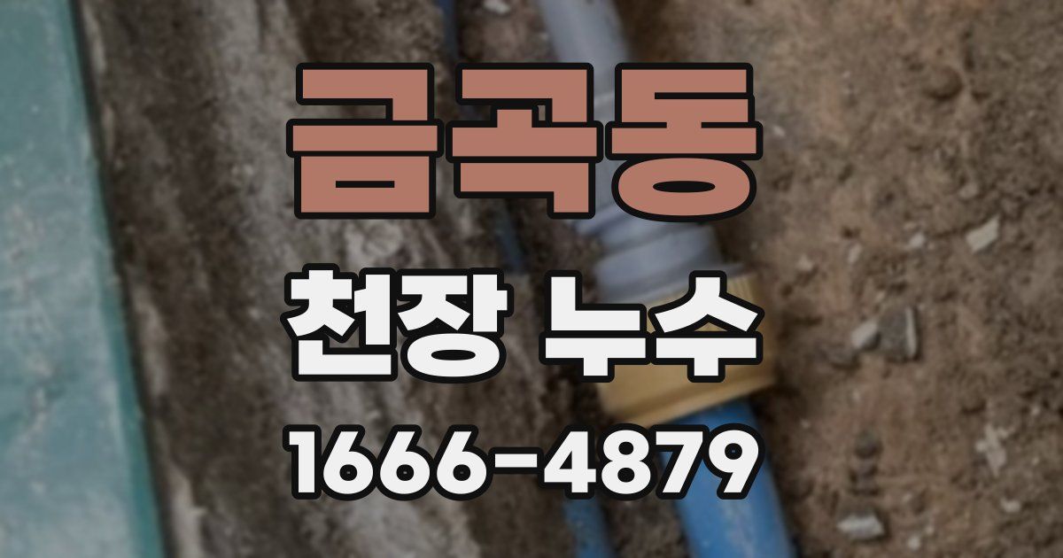 금곡동 천장 누수