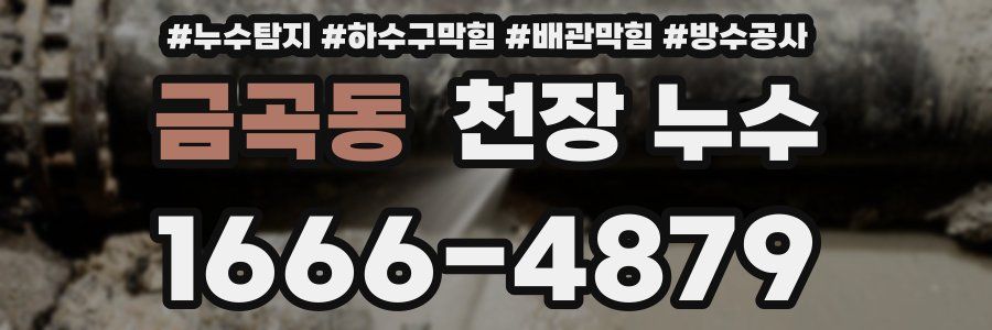 금곡동 천장 누수