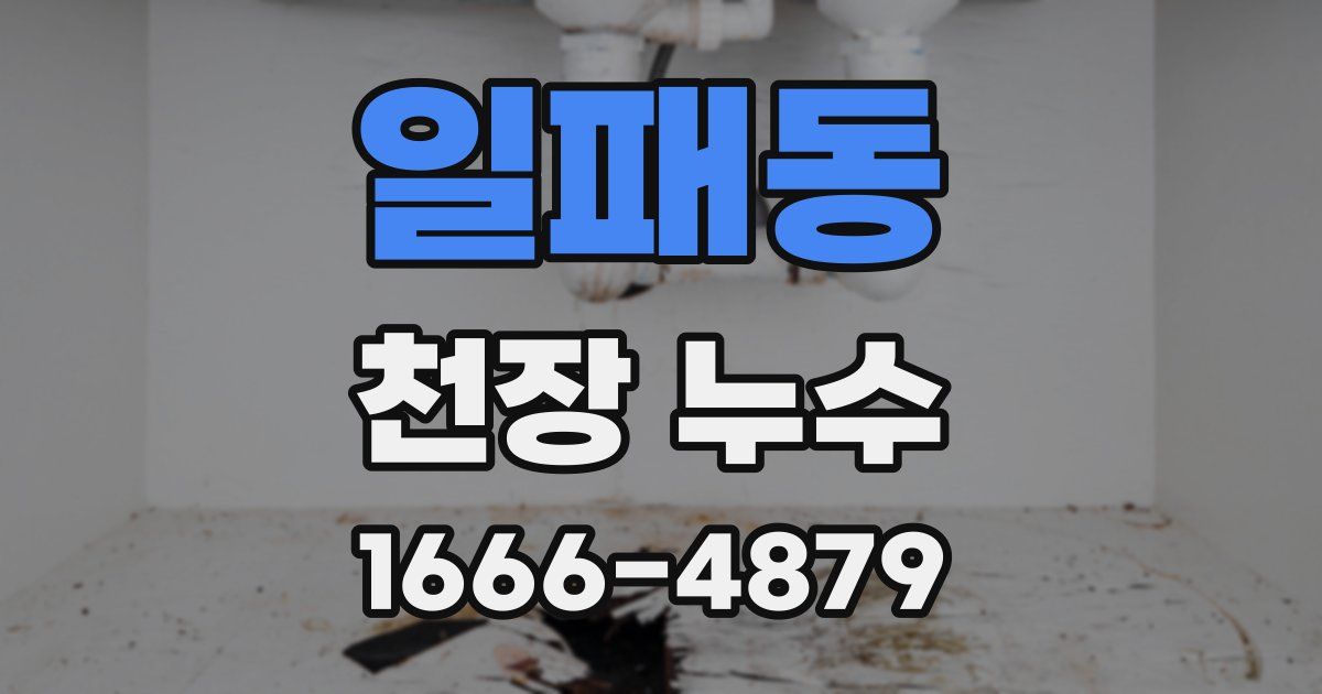일패동 천장 누수
