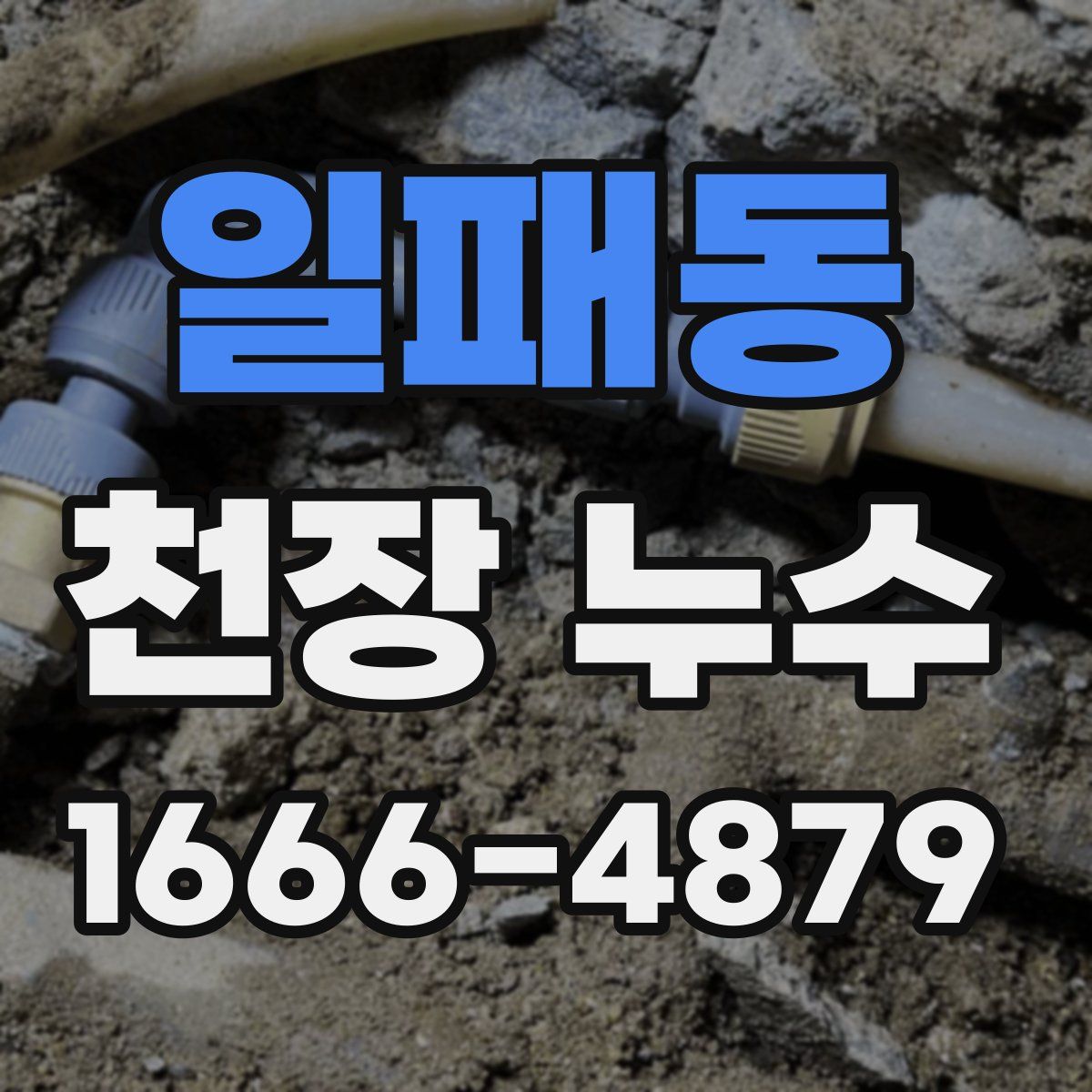 일패동 천장 누수