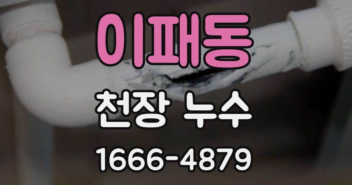이패동 천장 누수