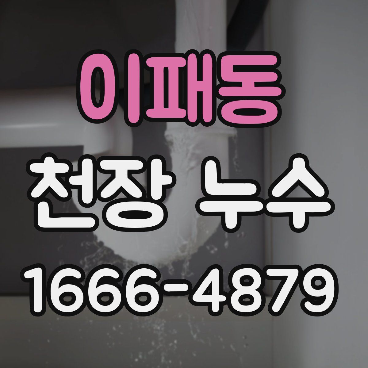 이패동 천장 누수