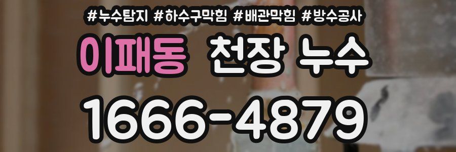 이패동 천장 누수