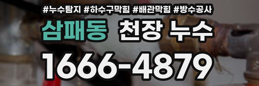 삼패동 천장 누수