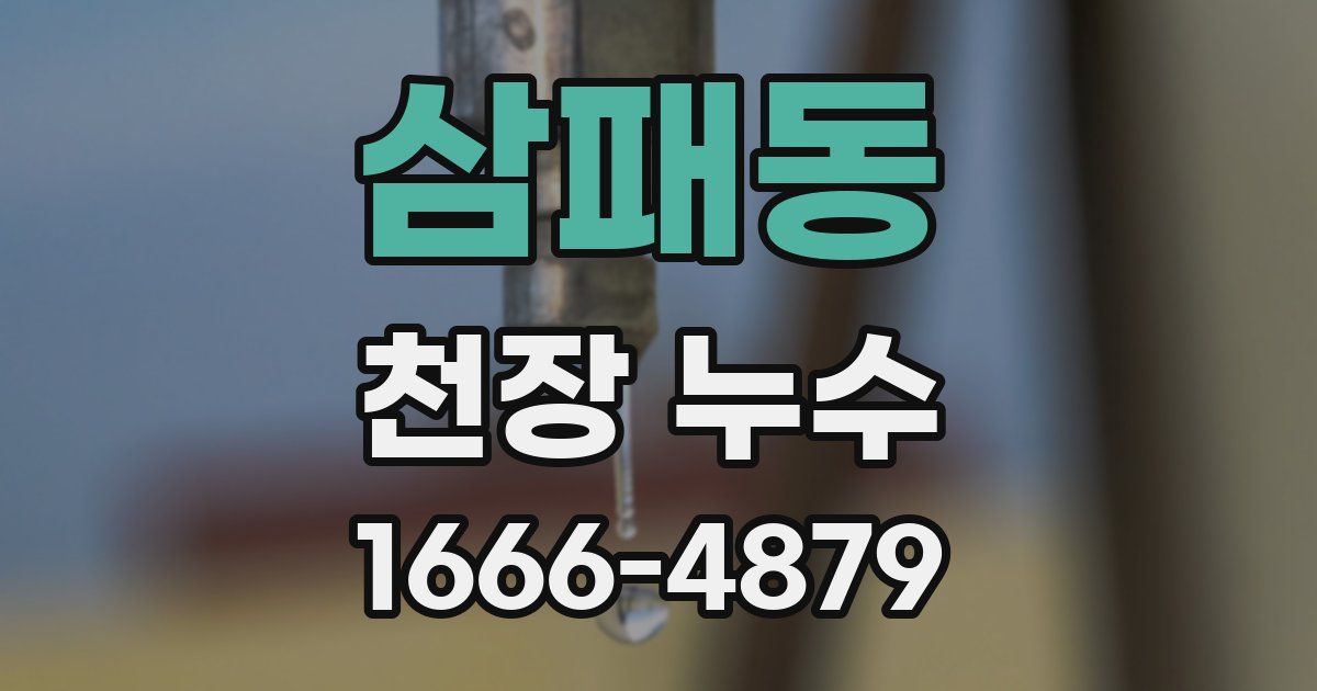 삼패동 천장 누수