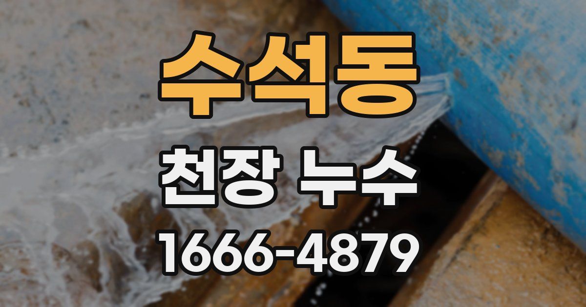 수석동 천장 누수