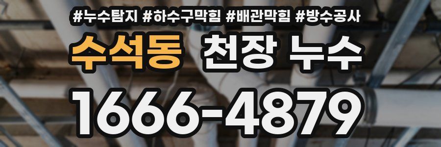 수석동 천장 누수