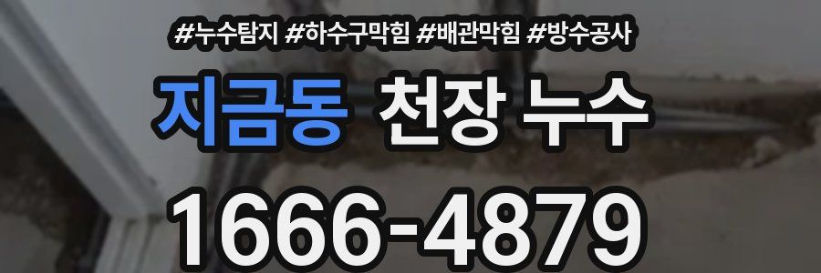 지금동 천장 누수