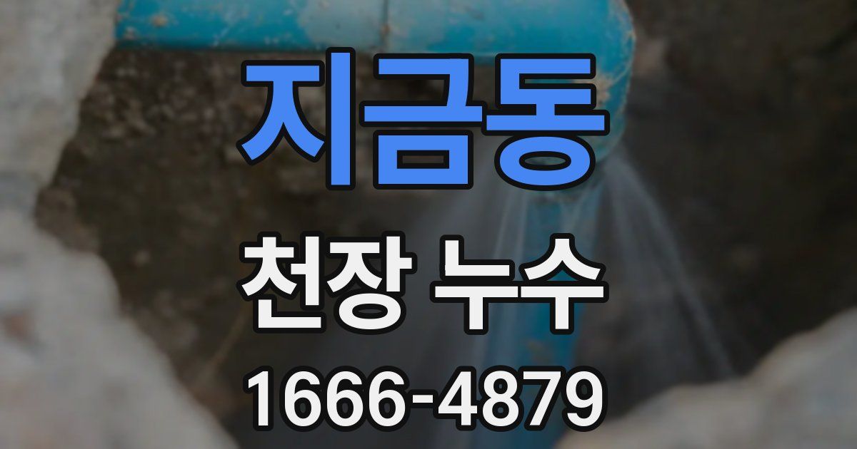 지금동 천장 누수