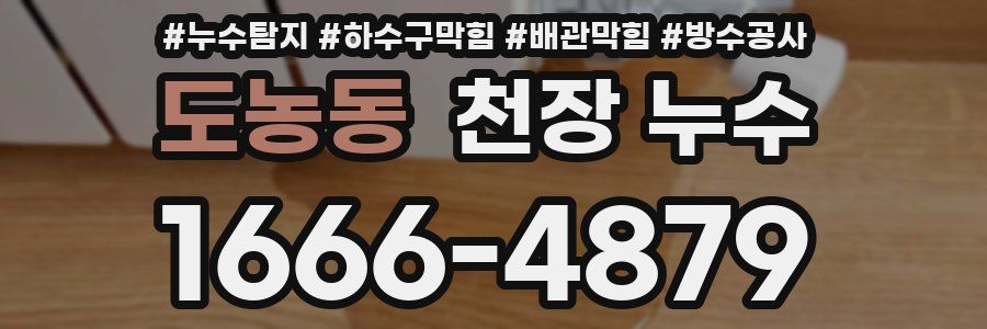 도농동 천장 누수