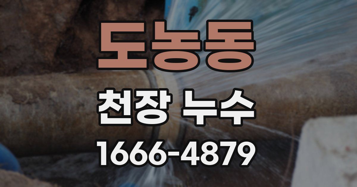 도농동 천장 누수