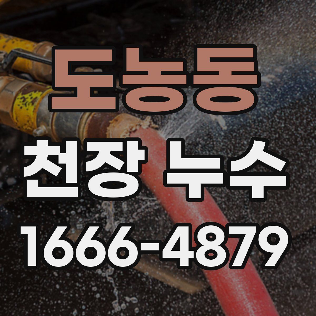 도농동 천장 누수