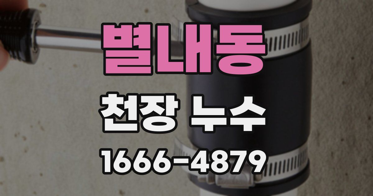 별내동 천장 누수