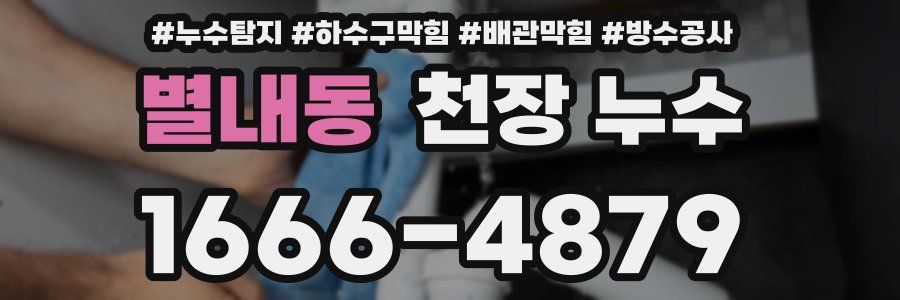 별내동 천장 누수