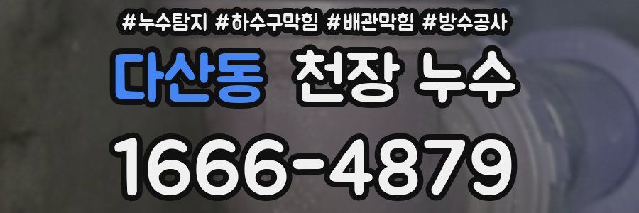 다산동 천장 누수