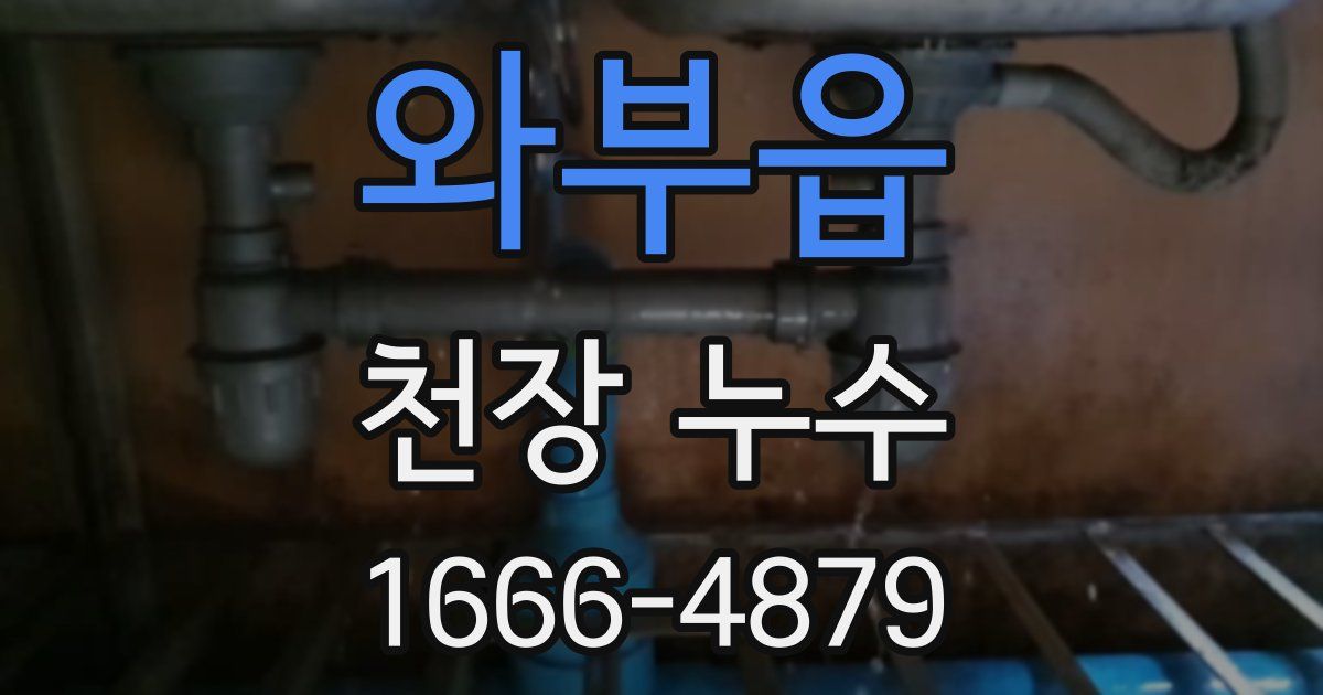 와부읍 천장 누수