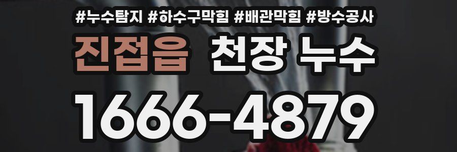 진접읍 천장 누수