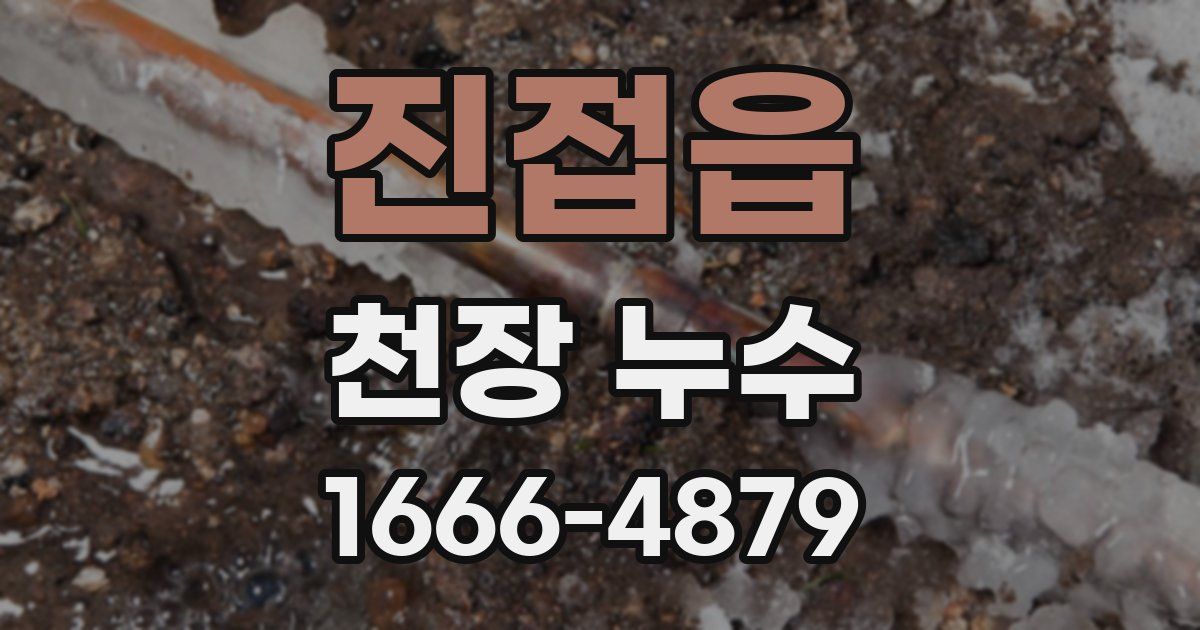 진접읍 천장 누수