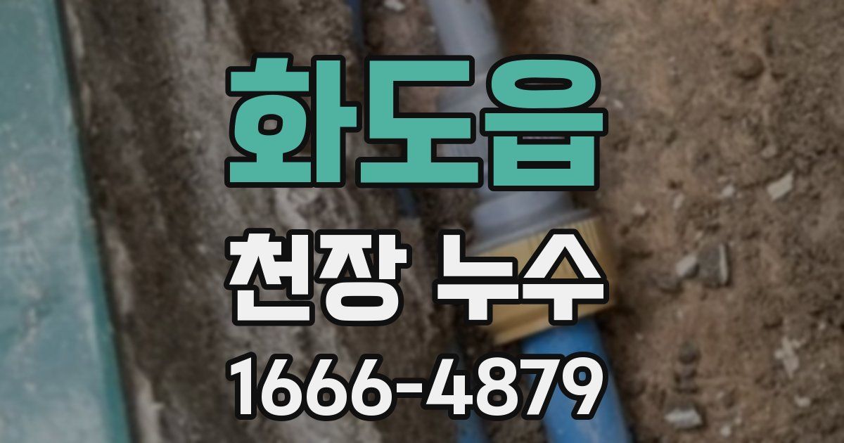 화도읍 천장 누수
