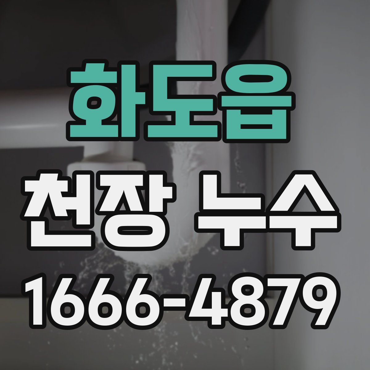 화도읍 천장 누수