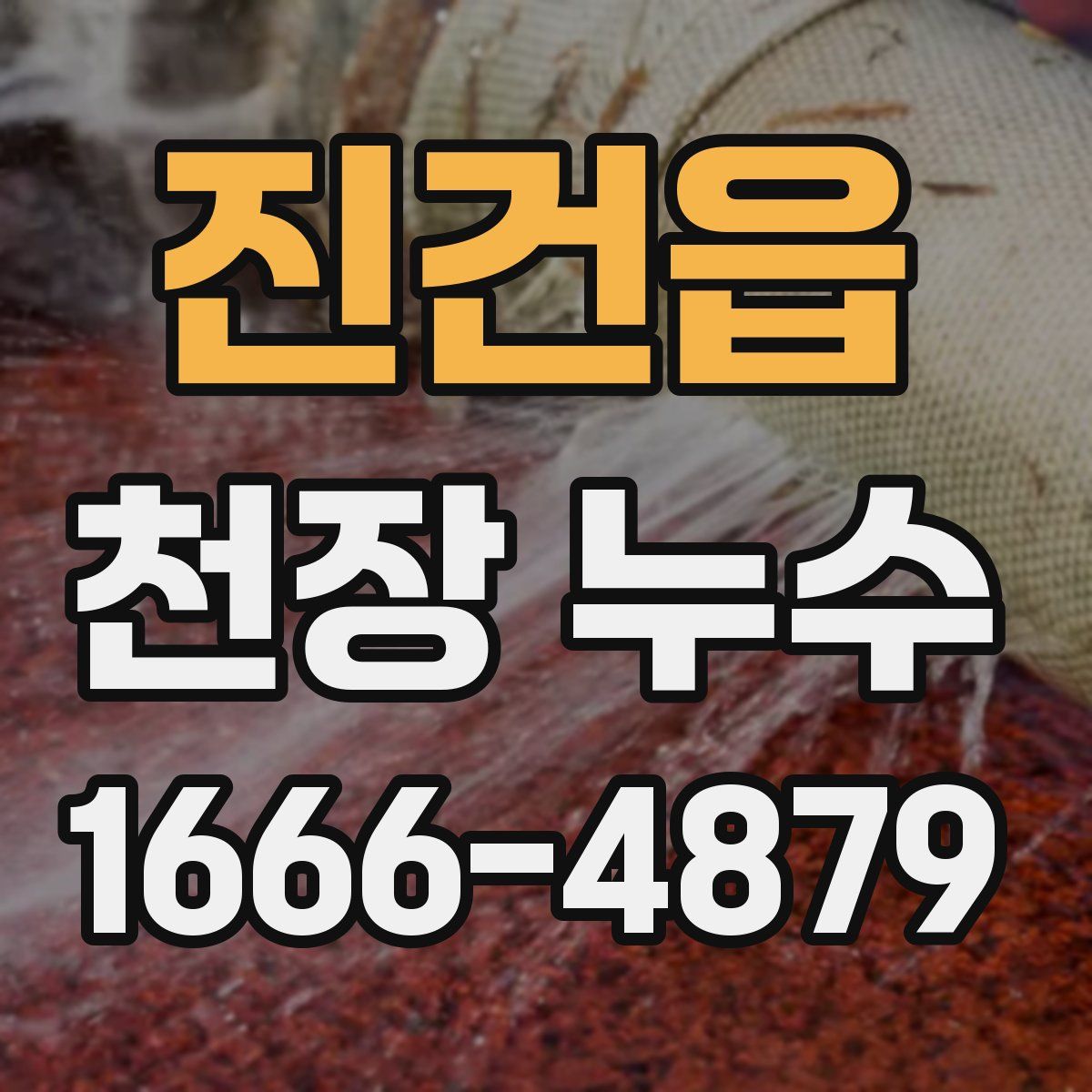 진건읍 천장 누수