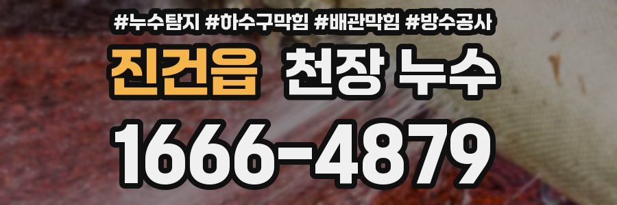 진건읍 천장 누수