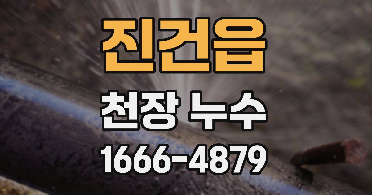 진건읍 천장 누수