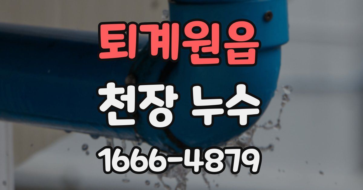 퇴계원읍 천장 누수