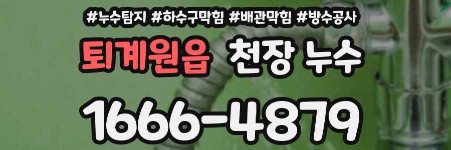퇴계원읍 천장 누수