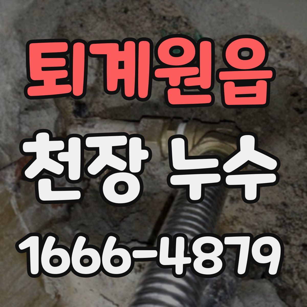 퇴계원읍 천장 누수
