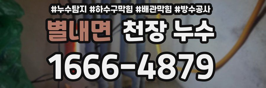 별내면 천장 누수