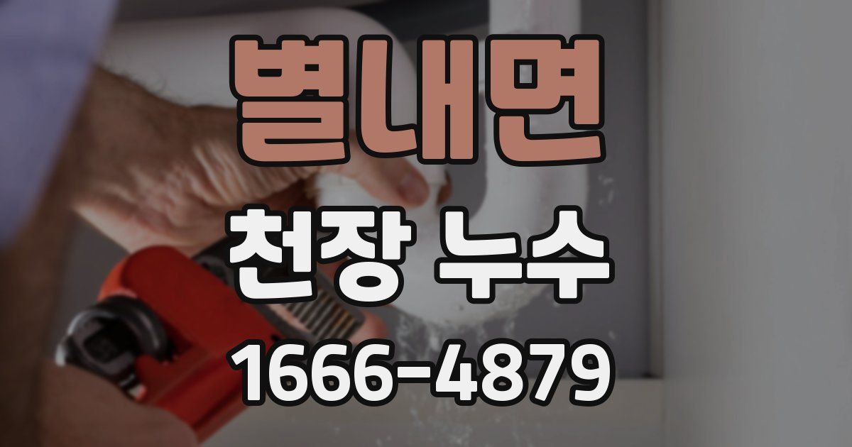 별내면 천장 누수