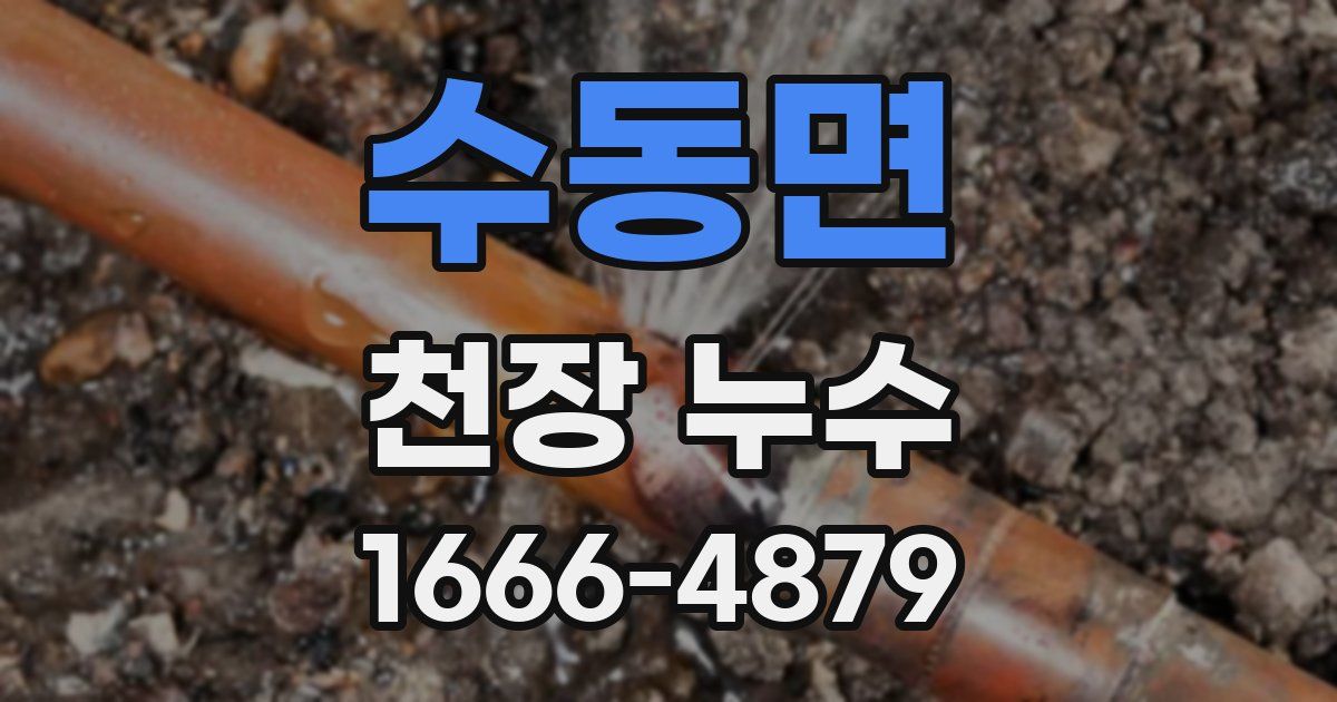 수동면 천장 누수