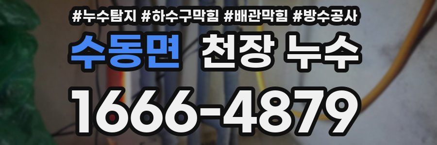 수동면 천장 누수